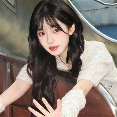 企鹅:极地追踪 在线观看